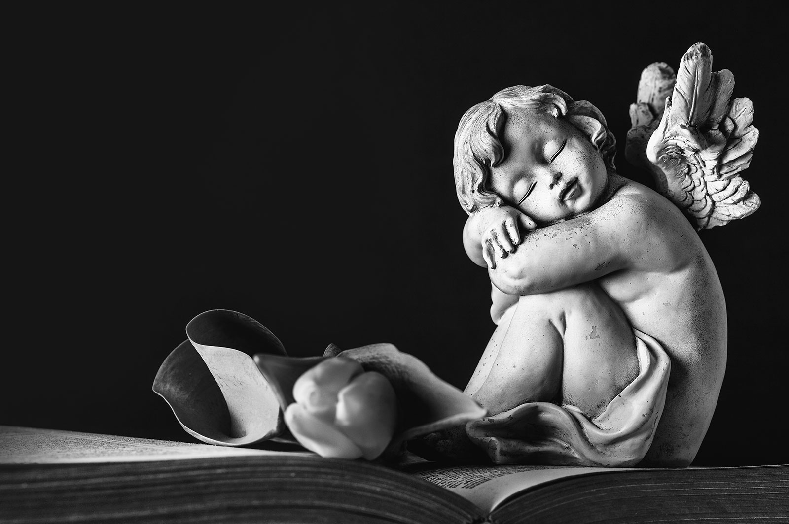 Formalności / dokumenty pogrzebowe